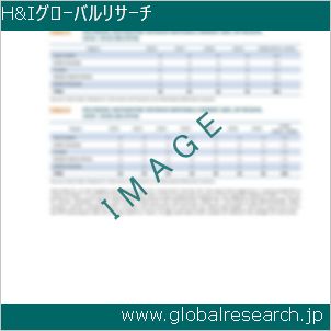 グローバルリサーチ調査レポートのイメージ